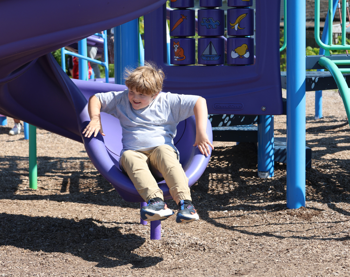 a young boy slides down a purple slide at an outdoor playground