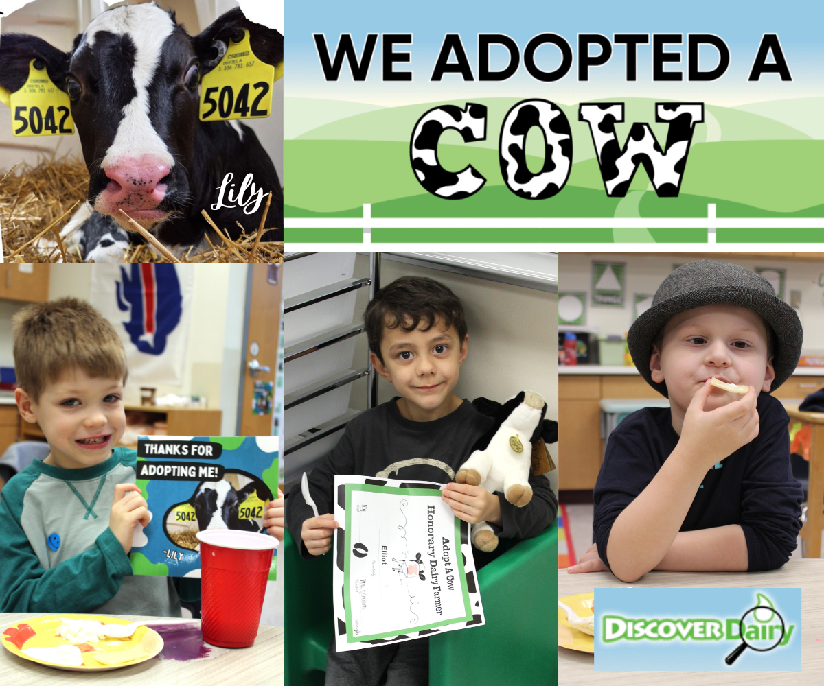 a graphic reads "We Adopted a Cow" along with a montage of young boys in a classroom, and a cow