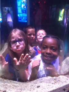 kids looking in a tank