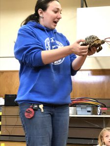 presenter holding a tortoise