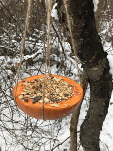 seed filled pumpkin hanging from tree