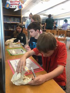 students examining and identifying specimens