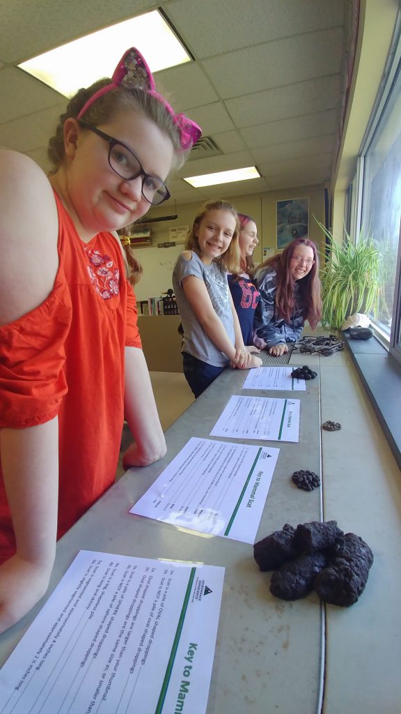 students identifying animal poop