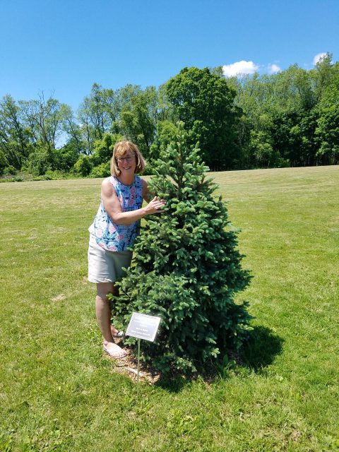 Mrs. Quinn with arms extended to hug pine tree