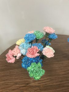 carnations in various colors and shades