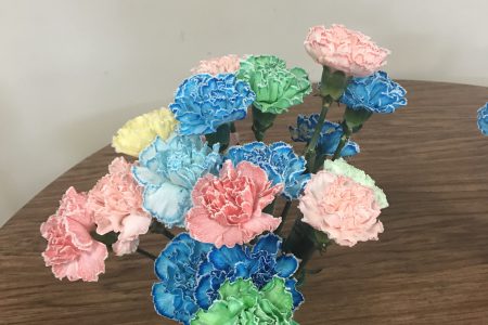 Science is Blooming for Sixth Graders