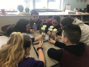 students examining carnations
