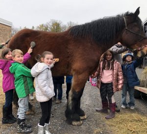students stand next to horse