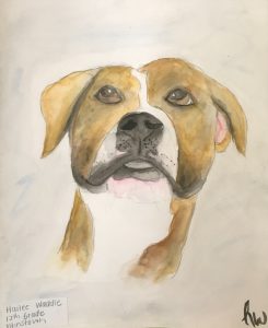 a hand drawn portrait of a brown and white dog