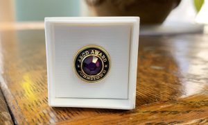a close up photo of a purple gem stone pin