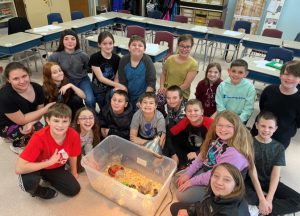 students observe baby chicks in a plastic bin