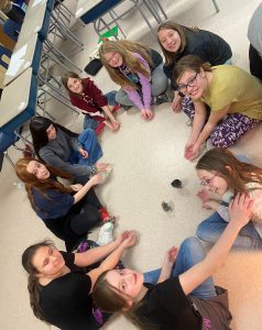 students sit on the floor in a circle, with baby chicks in the middle