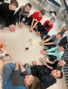 students sit in a circle with baby chicks in the middle