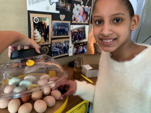 a girl poses next to chicken eggs ready to hatch