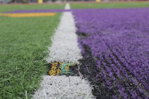 a close up shot of turf field damage, with purple, green, white and yellow turf showing