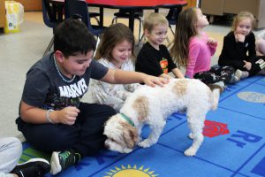 a young boy pets a dog while sitting on a colorful carpet at school