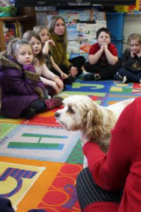students sit on a carpet as they meet a therapy dog