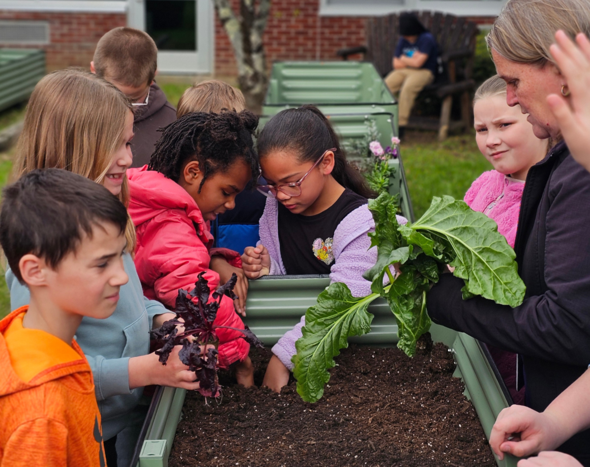 students plant something in a garden with their teacher
